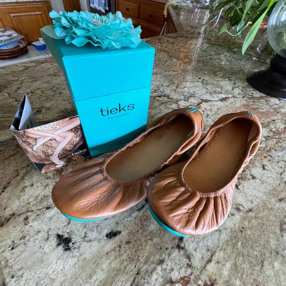Tieks | Chestnut Brown Ballet Flats (Size 9) - Picture 1 of 6